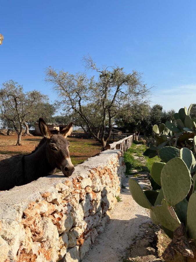 Villa Trulli Dell'Angelo Specchiolla Exterior foto